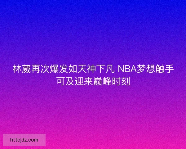林葳再次爆发如天神下凡 NBA梦想触手可及迎来巅峰时刻